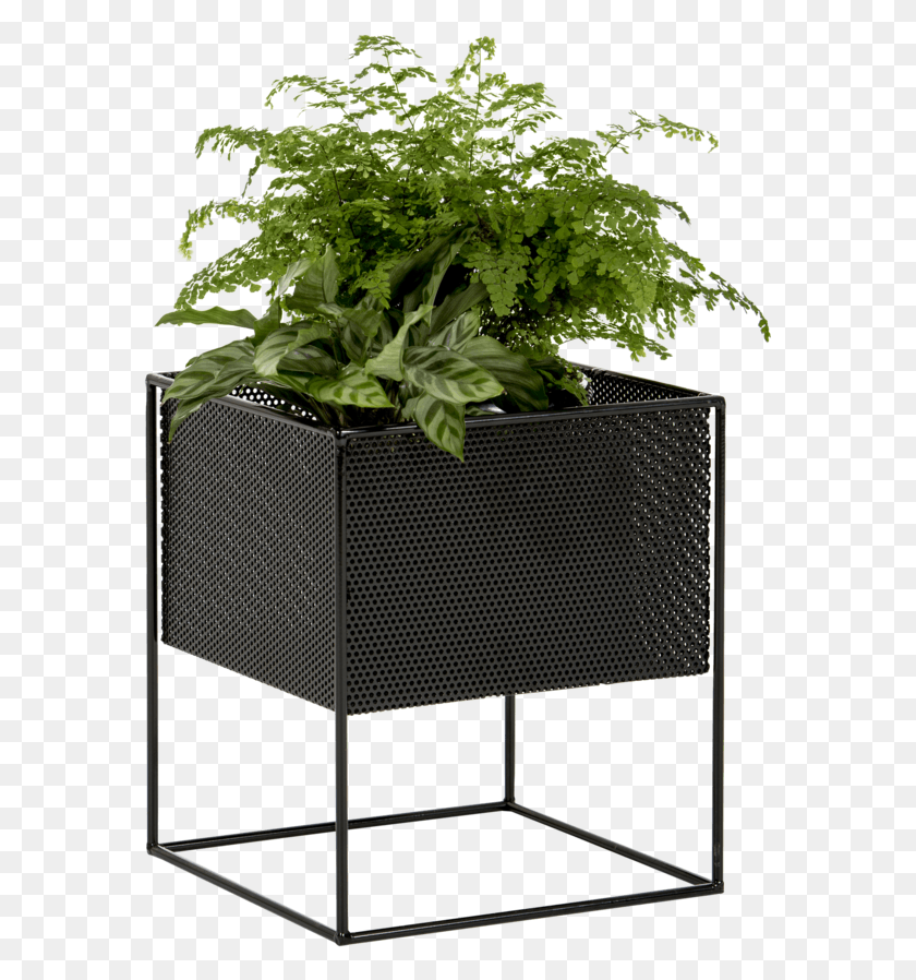 577x838 Indoor Planter Box Metal Planter Boxes Tall Planters Redfox And Wilcox Planter, Potted Plant, Plant, Vase HD PNG Download