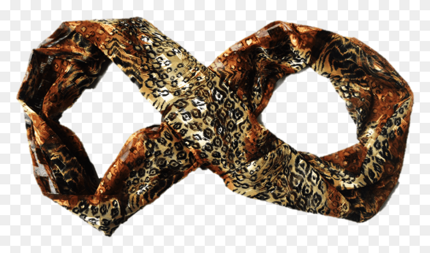 879x490 Infinity Snack, Snake, Reptile, Animal HD PNG Download