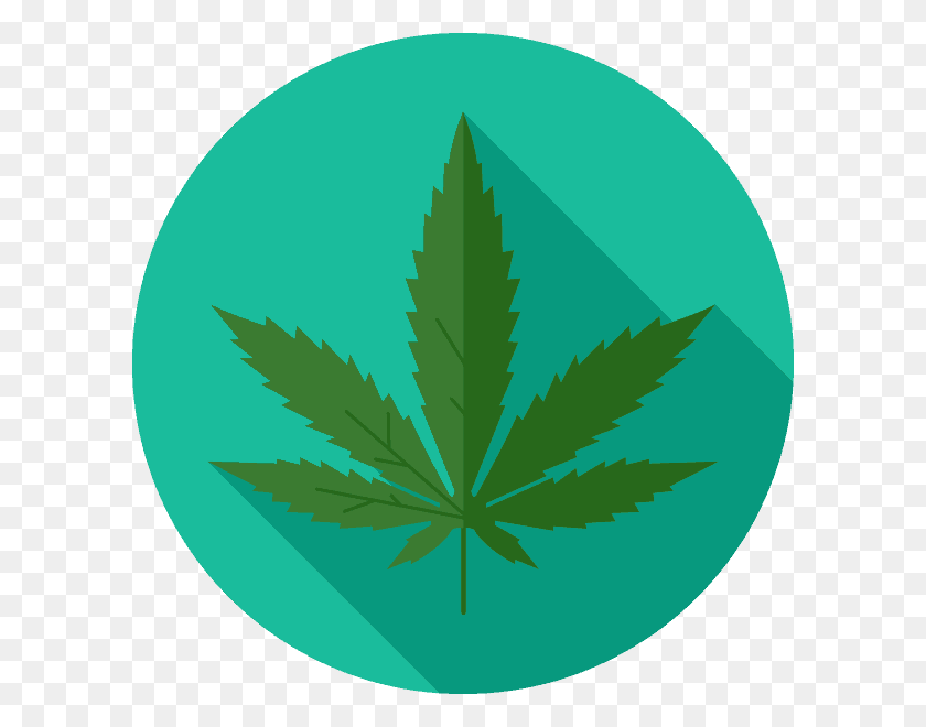 600x600 Info And News Illustration, Plant, Weed, Green Descargar Hd Png