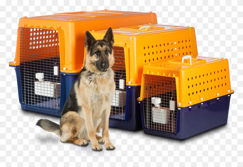 1156x767 Info On Air Travel For Your Dog Airline Approved Dog Crates Nz, German Shepherd, Pet, Canine HD PNG Download