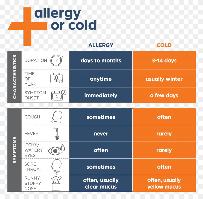 3766x3677 Descargar Png Infografía Comparando Alergia Y Síntomas De Resfriado Gráficos Estadísticos, Texto, Menú, Papel Hd Png