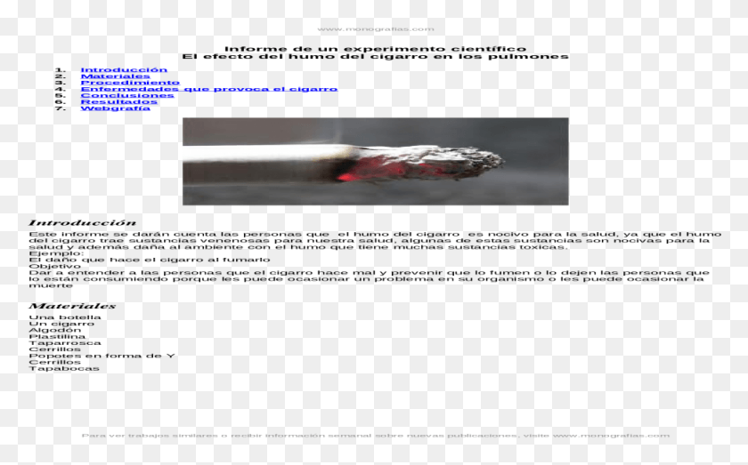 972x577 Informe Experimento Cientifico Efecto Del Humo Del House Fly, Weapon, Weaponry, Quake HD PNG Download