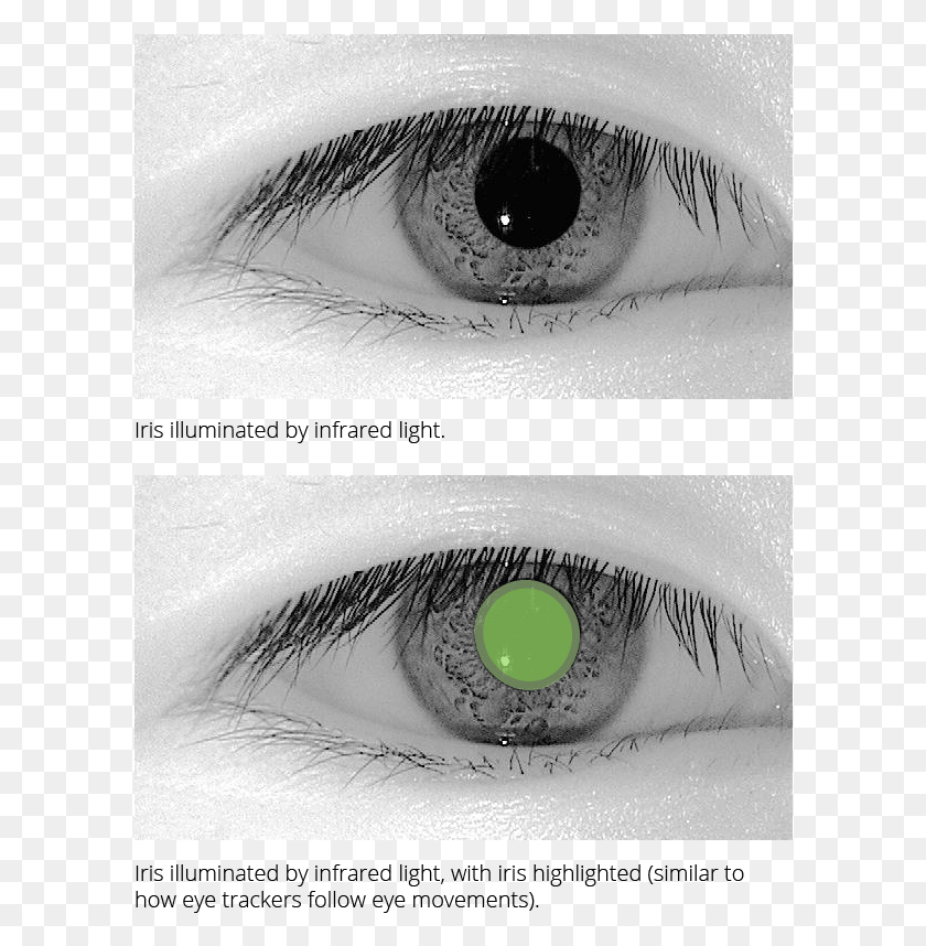 598x798 Descargar Png Rastreadores Oculares Infrarrojos Escaneo De Iris Por Infrarrojos, Lentes De Contacto, Collage, Poster Hd Png