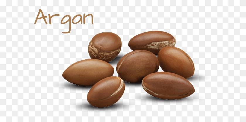 609x359 Descargar Png / Chocolate, Planta, Nuez, Vegetal Hd Png