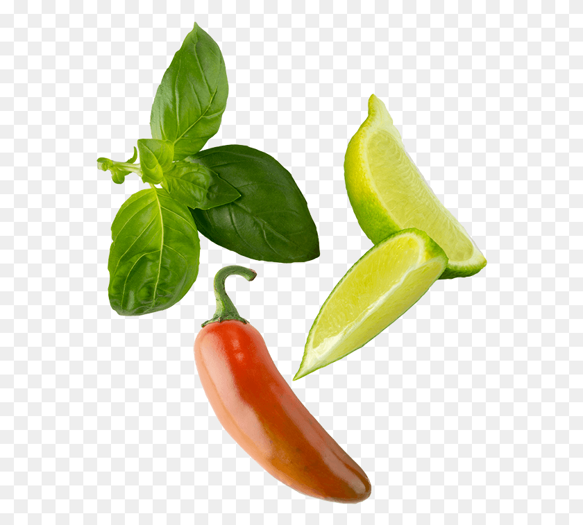 564x697 Ingredients Tabasco Pepper, Plant, Citrus Fruit, Fruit HD PNG Download