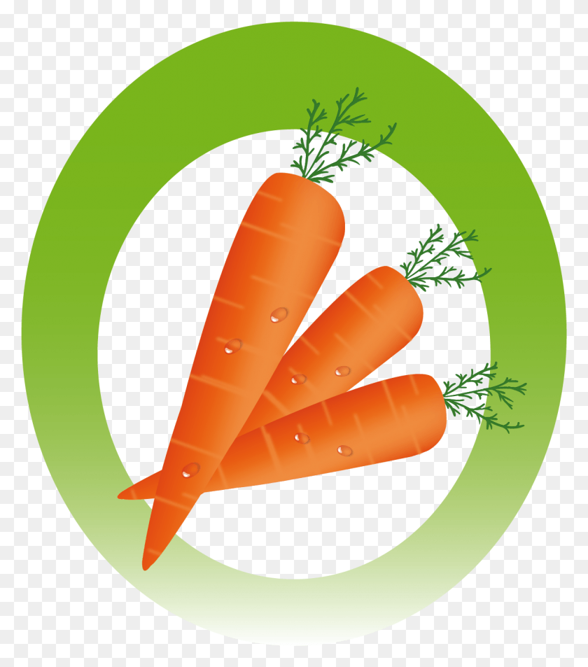 1198x1373 Inicie Baby Carrot, Растение, Овощи, Еда Hd Png Скачать