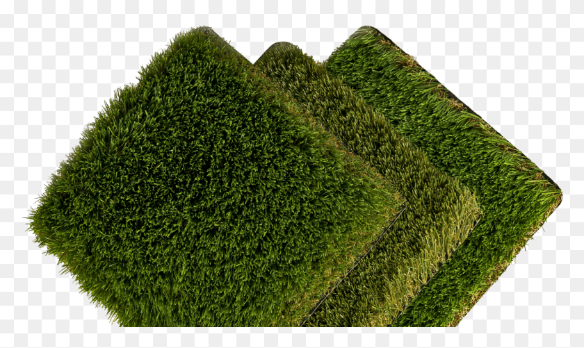 1052x595 Inicio Coleccion Paisajismo Eurocesped Hedge, Moss, Plant, Grass HD PNG Download