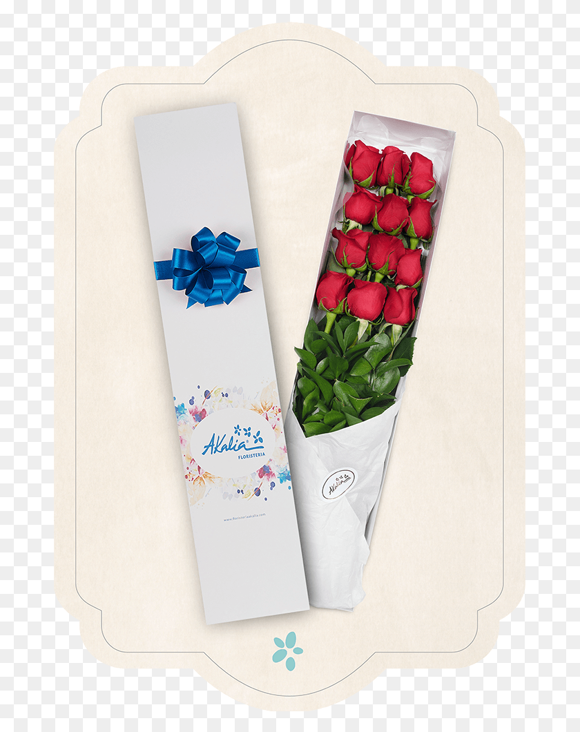 683x1000 Inicio Flores Rosas Tulip, Envelope, Plant, Mail HD PNG Download
