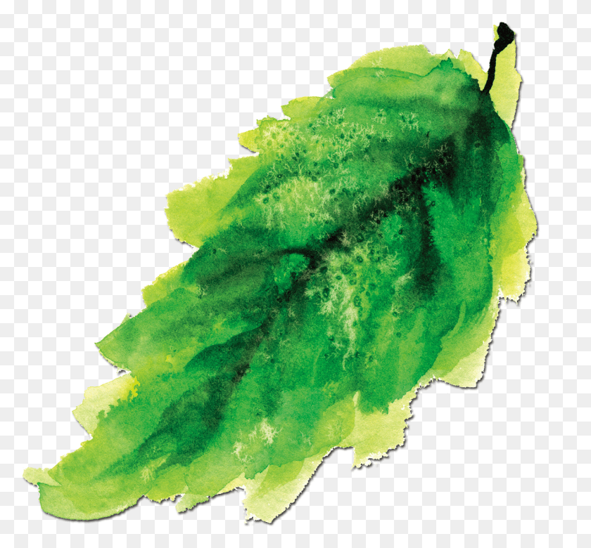 1227x1134 Ink Painting Watercolor Green Leaves, Leaf, Plant, Veins HD PNG Download
