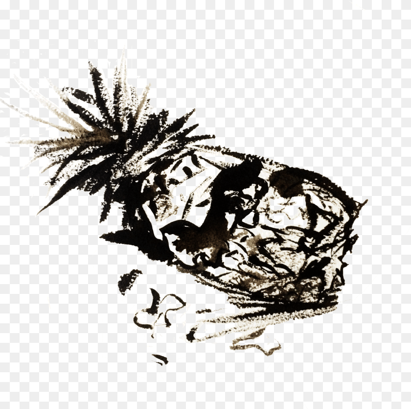 2449x2435 Ink Pineapple A Small Image Inside Of The Zine Illustration, Face, Head, Person, Adult Transparent PNG