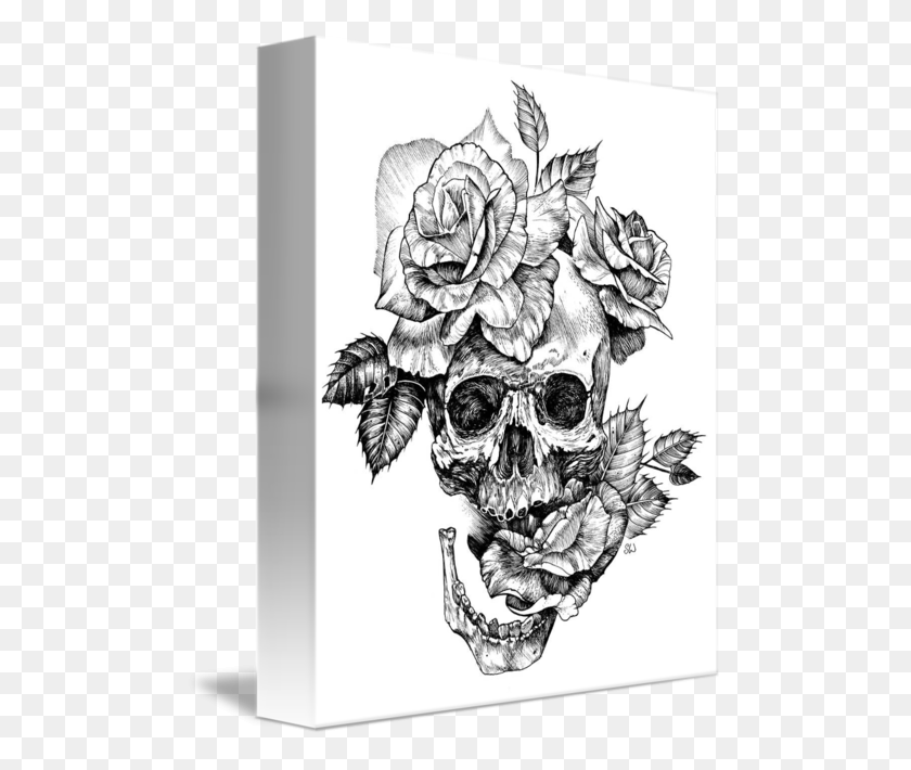 494x650 Ink Skull And Roses By Sarah Wilson Skull With Flowers Drawing, Sketch HD PNG Download
