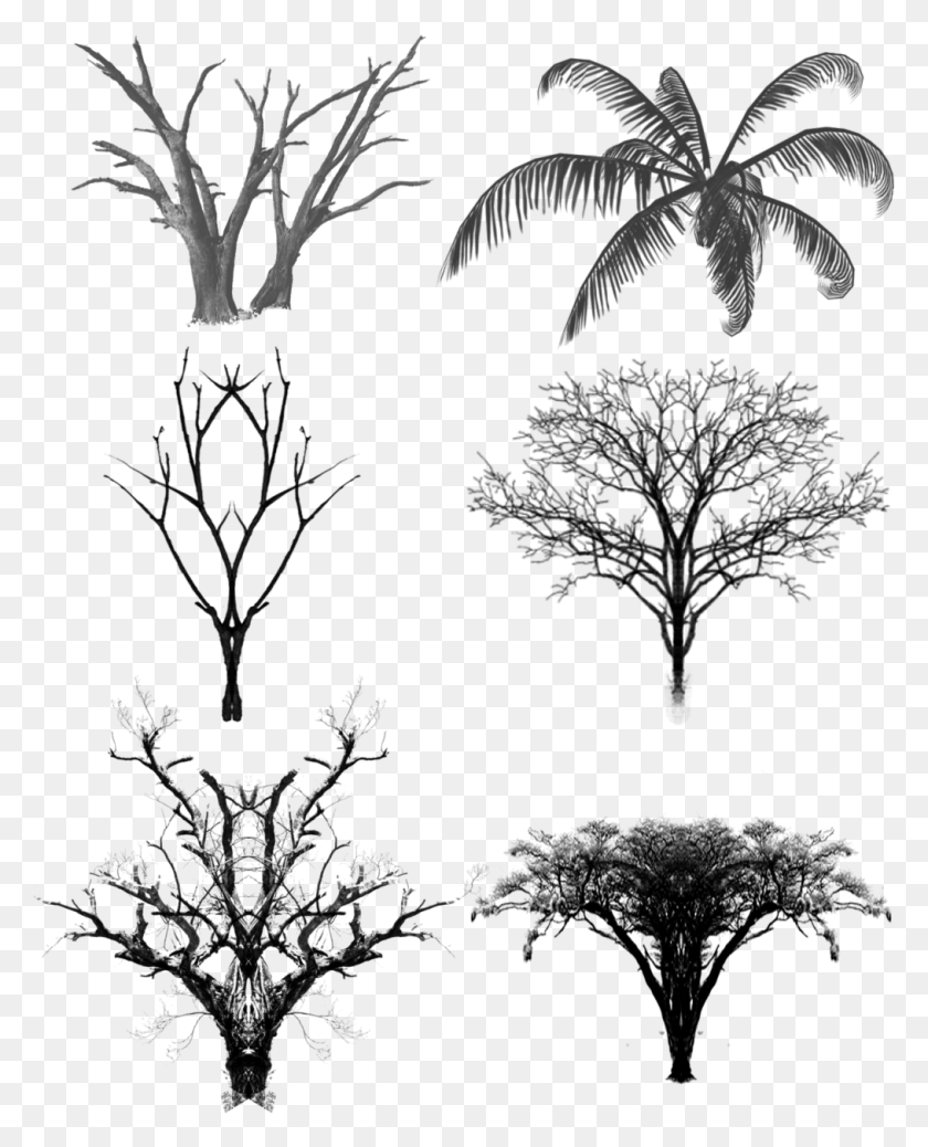 1014x1272 Ink Tree Dead Wood And Psd, Monitor, Screen, Electronics HD PNG Download