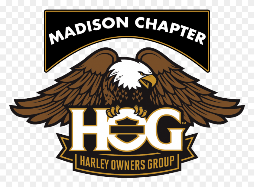 996x713 Inline 981d57b8110e Harley Owners Group Logo, Symbol, Trademark, Emblem HD PNG Download