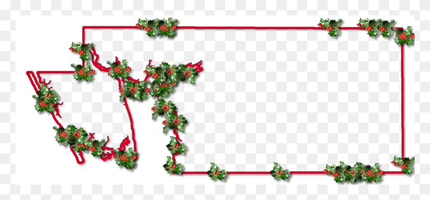 1024x435 Inner Drop Shadow And Randomly Placed Holly Leaves, Plant, Tree, Text HD PNG Download