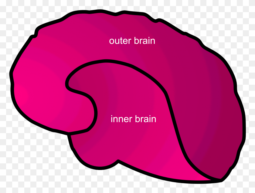 1760x1305 Inner Vs Outer Brain, Baseball Cap, Cap, Hat HD PNG Download