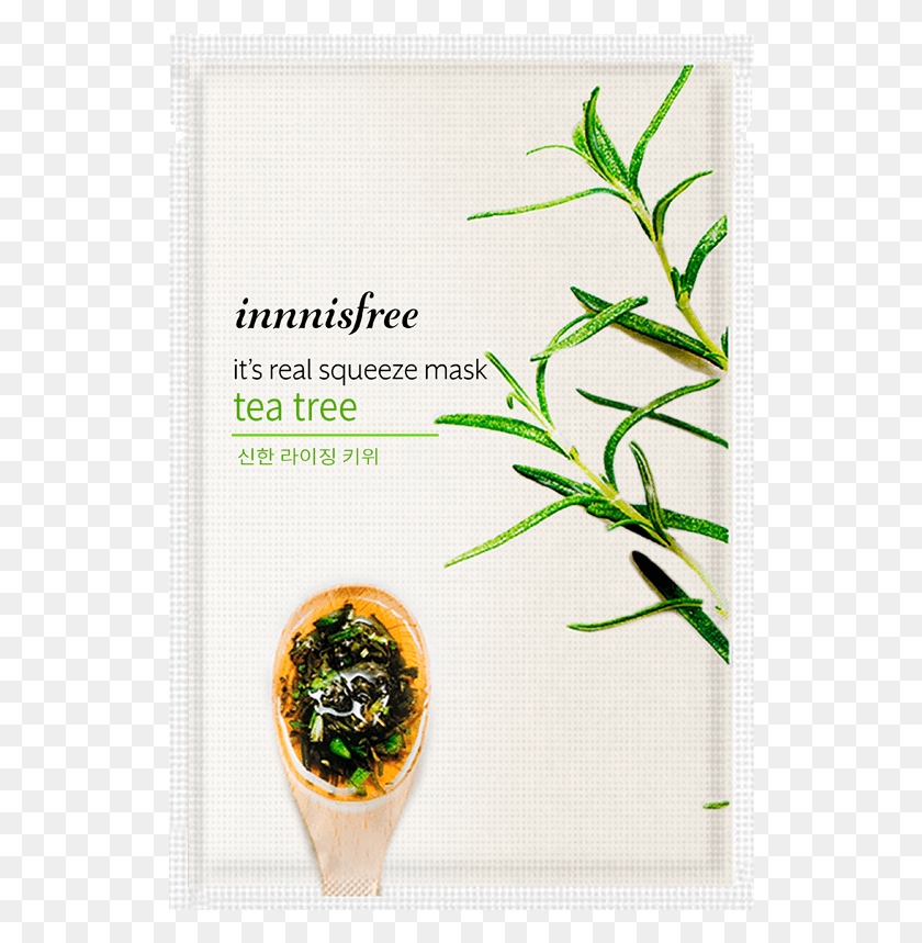 534x799 Innisfree It39s Real Squeeze Mask Tea Tree, Plant, Text, Food HD PNG Download