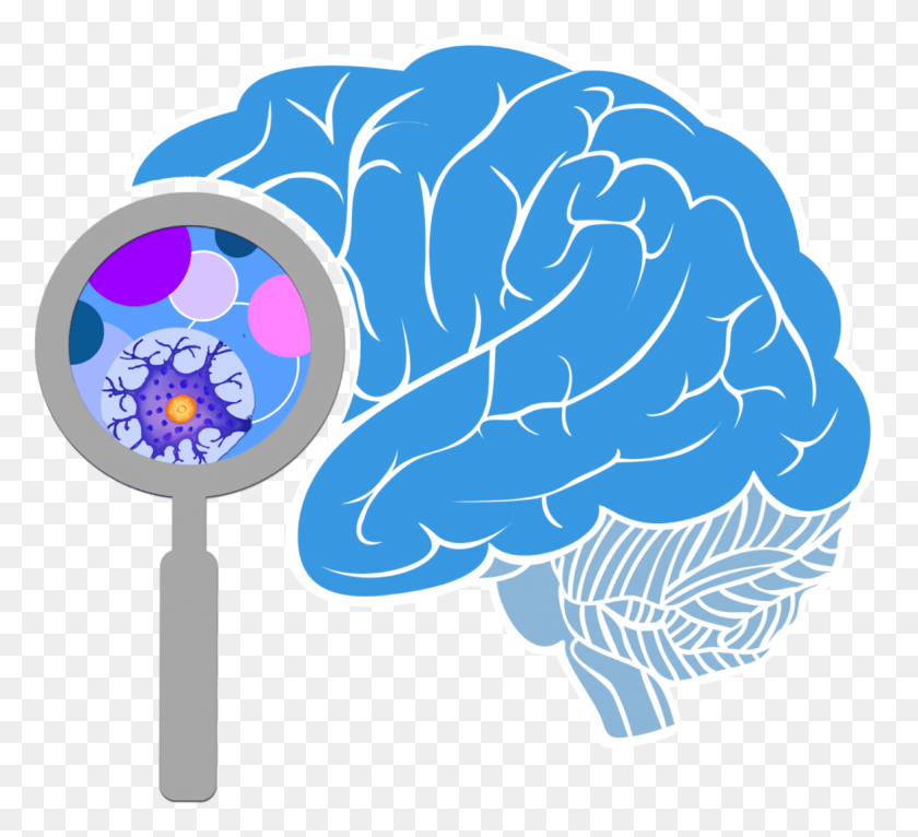 1165x1055 Innovation Activity Free On Dumielauxepices Net Transparent Brain, Magnifying, Fungus, Graphics HD PNG Download