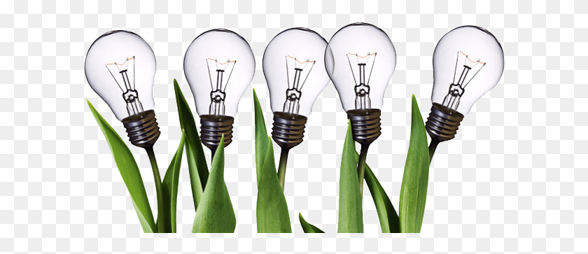 602x303 Innovation Light Bulb Plants Transparent, Light, Lightbulb, Green HD PNG Download
