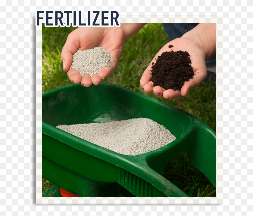 639x655 Inorganic And Organic Fertilizer, Plant, Person, Human HD PNG Download