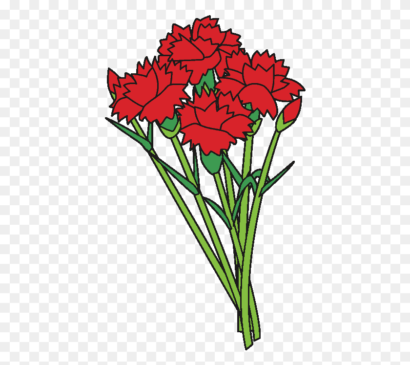 412x687 Input Carnations Bounquet Flowers, Plant, Flower, Blossom HD PNG Download