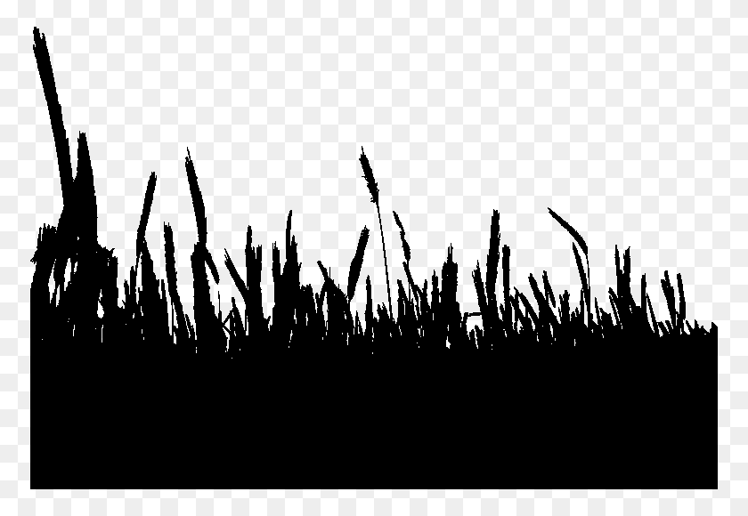 772x520 Input Wheat Field Silhouette, Gray, World Of Warcraft HD PNG Download