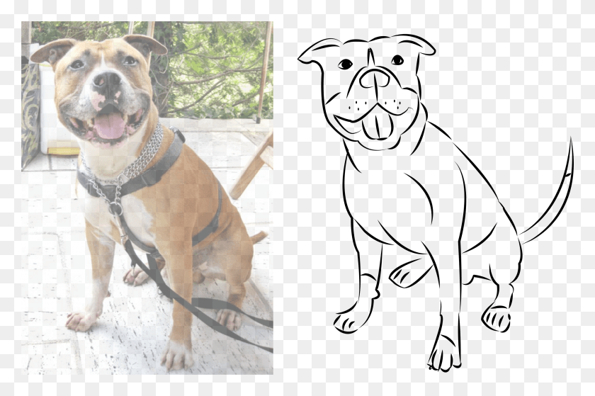 2750x1761 Inscape Drawing Dog, Pet, Canine, Animal HD PNG Download