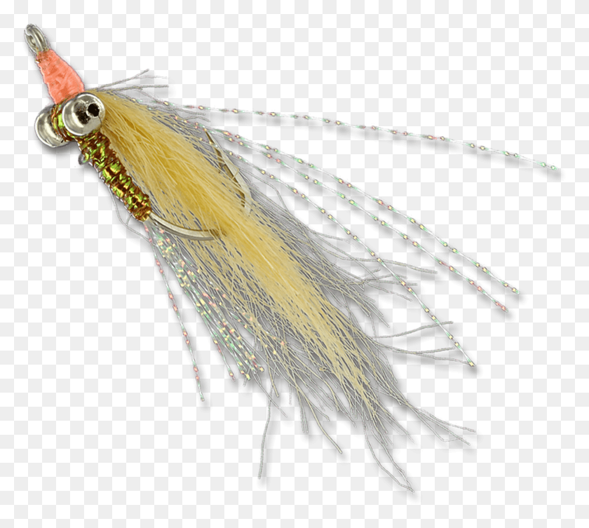 1955x1737 Insect, Fishing Lure, Bait, Animal HD PNG Download
