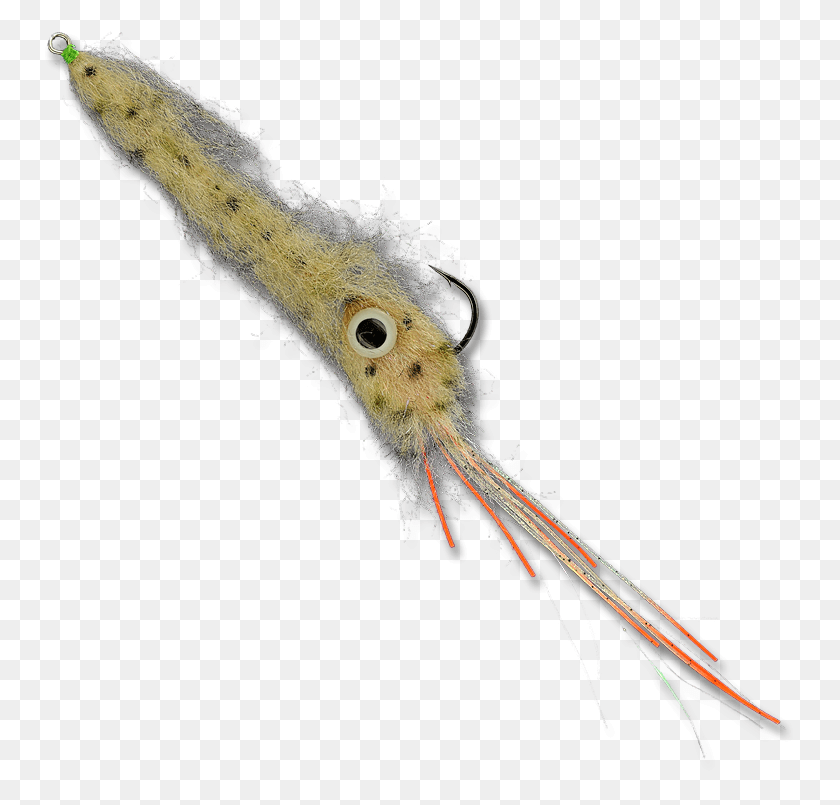 754x745 Insect, Seafood, Food, Sea Life HD PNG Download