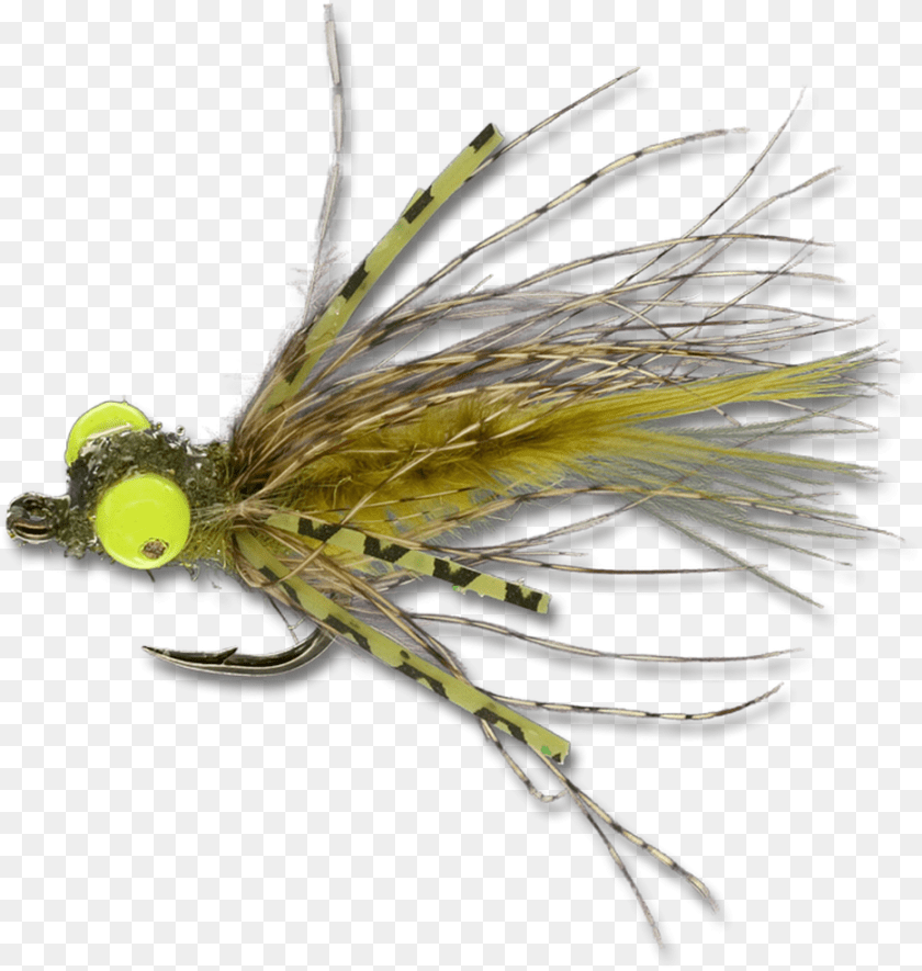 Insect, Ball, Sport, Tennis, Tennis Ball Sticker PNG