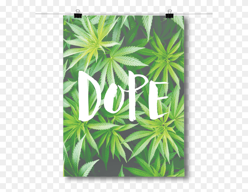601x590 Inspired Posters Dope Graphic Design, Plant, Weed, Hemp HD PNG Download