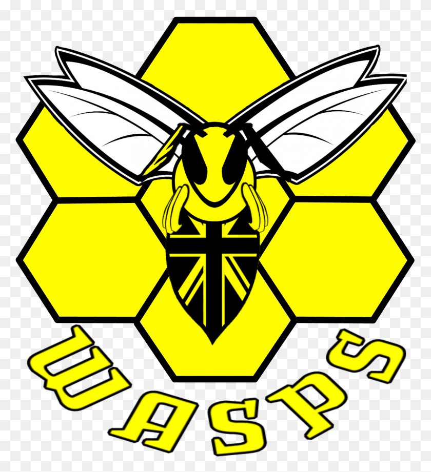 1795x1983 Inspired Slightly By The Charlotte Hornets Modern Logo Logo Wasps, Symbol, Star Symbol, Batman Logo HD PNG Download