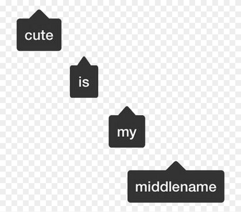 728x681 Insta Cuteismymiddlename Cute My Transparent Instagram Tag, Text, Number, Symbol HD PNG Download