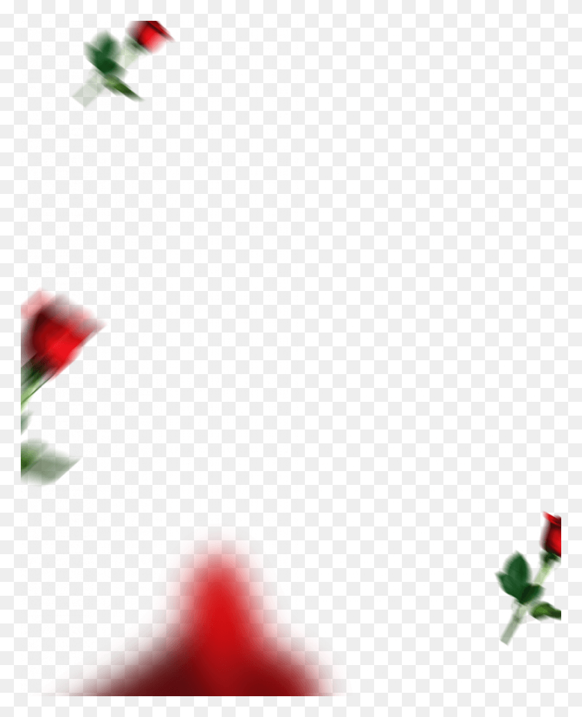 819x1024 Insta Heart Motion Blur Valentine Day Editing Background Valentine Day Background New, Plant, Rose, Flower HD PNG Download