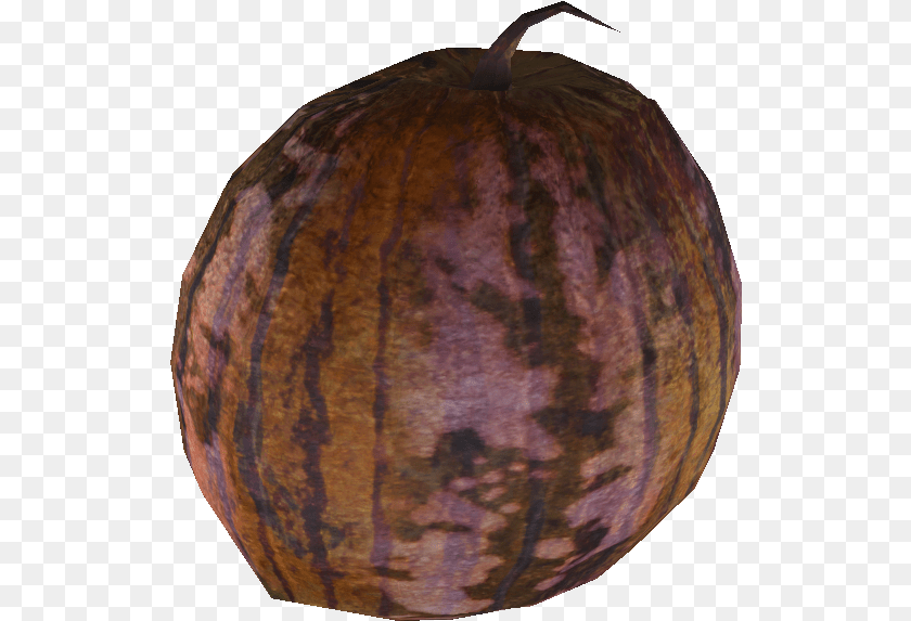 528x573 Institute Gourd Wiki, Food, Fruit, Plant, Produce Transparent PNG