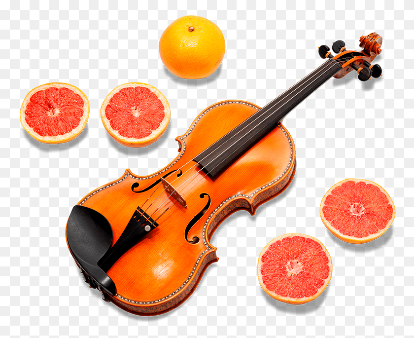 766x625 Insure Musical Instruments, Leisure Activities, Violin, Musical Instrument HD PNG Download