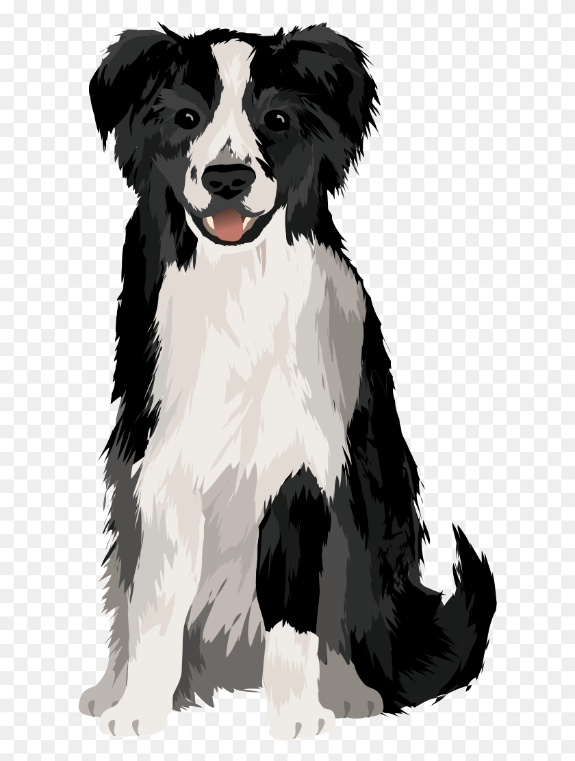612x1051 Intensive Training Programs To Make Your Dog A Rock Border Collie, Hound, Pet, Canine HD PNG Download