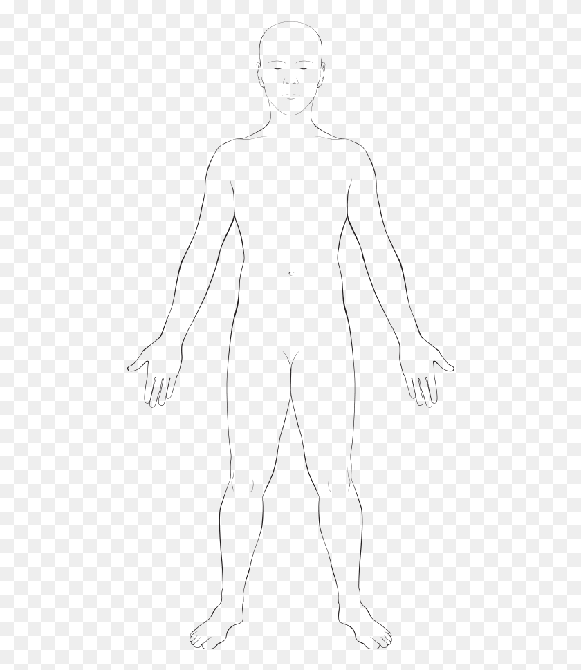 474x909 Interactive Body, Person, Human HD PNG Download