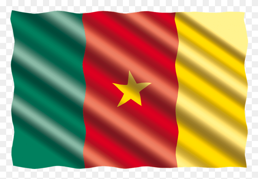 821x552 Международный Флаг Камерун Бандера Камерун, Символ, Звездный Символ, Американский Флаг Png Скачать