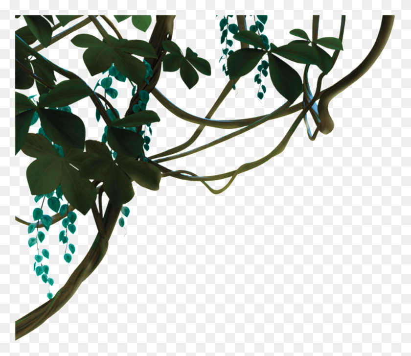 1010x864 Interwoven Vine Transparent Jungle, Plant, Leaf, Graphics HD PNG Download