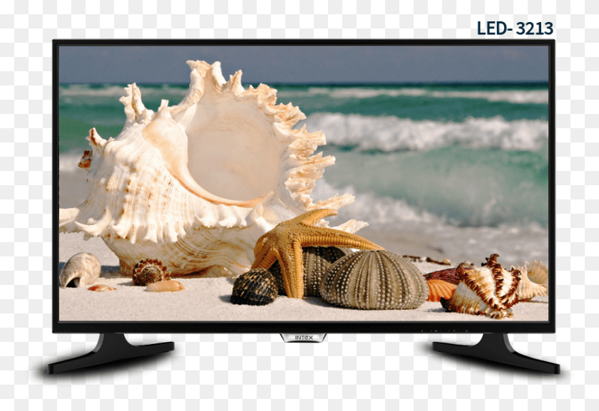 840x557 Intex Led Tv 3213 Con Tamaño De Panel 80 Cm Intex Led, Pantalla, Electrónica, Monitor Hd Png