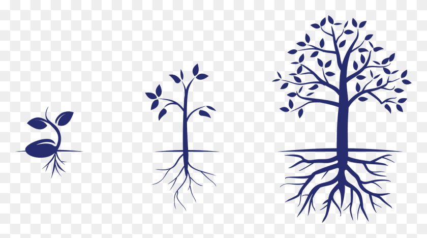 1200x628 Into Unexpected Money Such As Inheritances Or Work, Plant, Green, Tree Descargar Hd Png