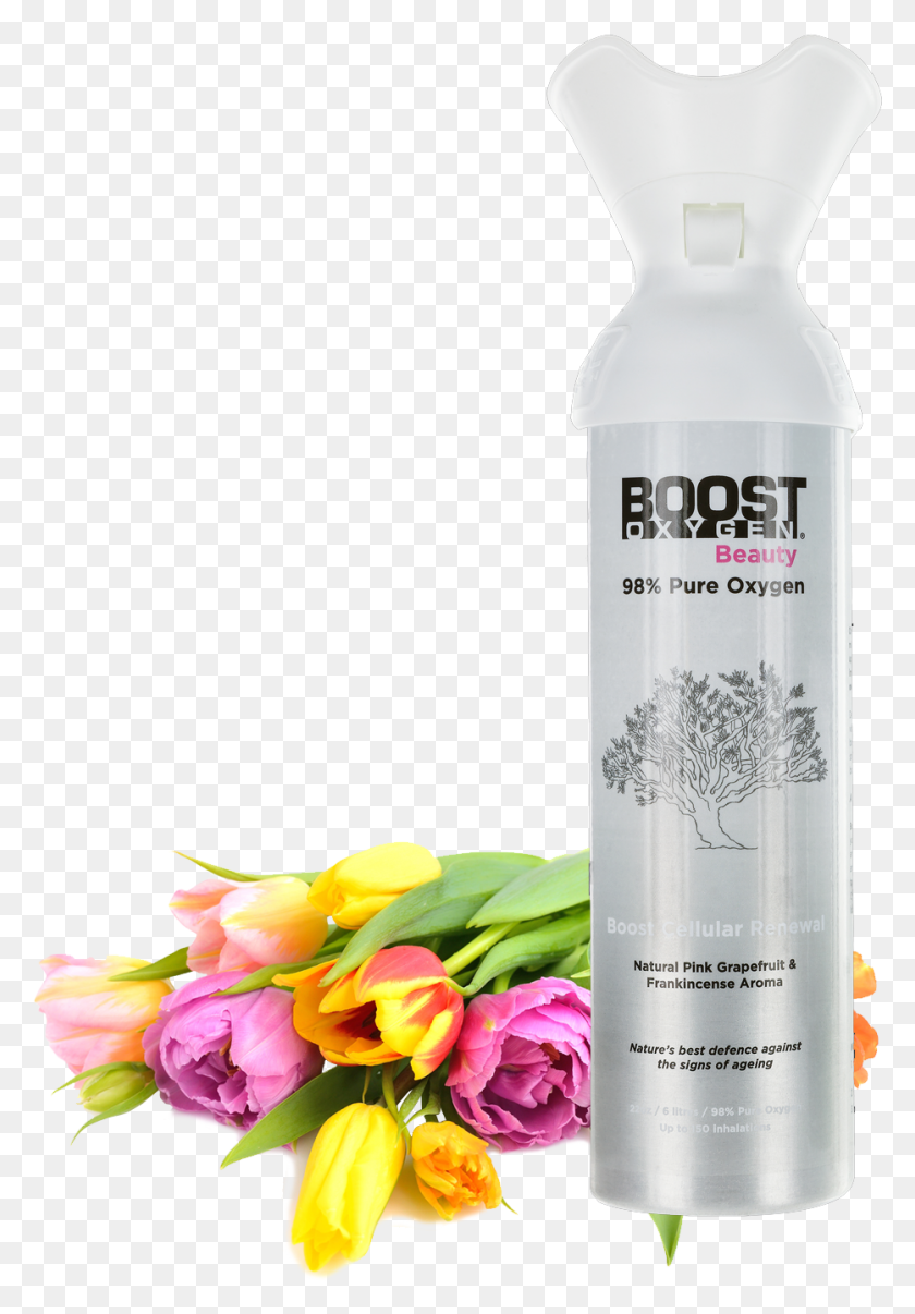 933x1371 Introducing Boost Oxygen Beauty Rosa Rubiginosa, Tin, Can, Aluminium HD PNG Download