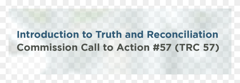 1170x347 Introduction To Truth And Reconciliation Commission Canstruction, Face, Text, Female HD PNG Download