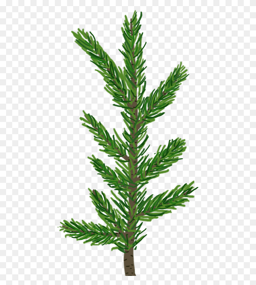 465x875 Inunity Pine Tree Leaf, Bush, Vegetation, Plant HD PNG Download