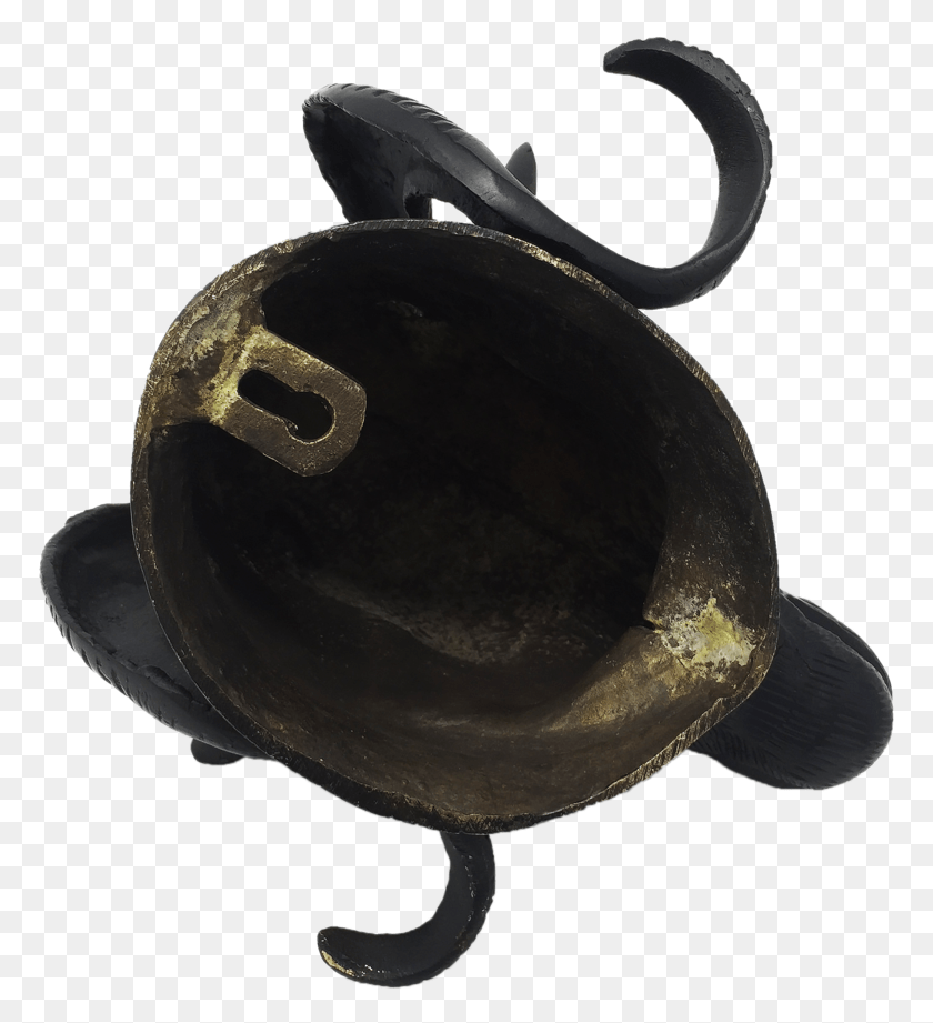 Invertebrate, Helmet, Clothing, Apparel HD PNG Download
