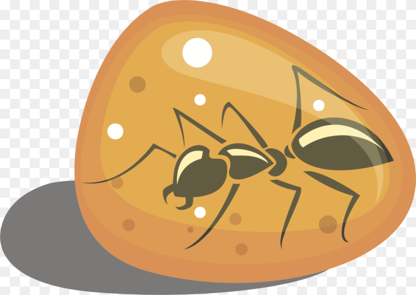 1055x750 Invertebratefoodfruit Bug In Amber Clip Art, Animal, Ant, Insect, Invertebrate PNG