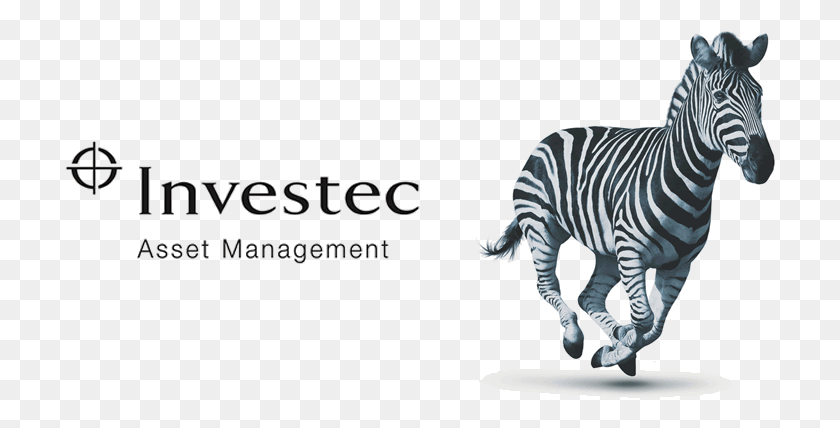 711x368 Investec Asset Management Имеет Все Возможности Для Того, Чтобы Взять Investec Bank, Zebra, Wildlife, Mammal Hd Png Скачать