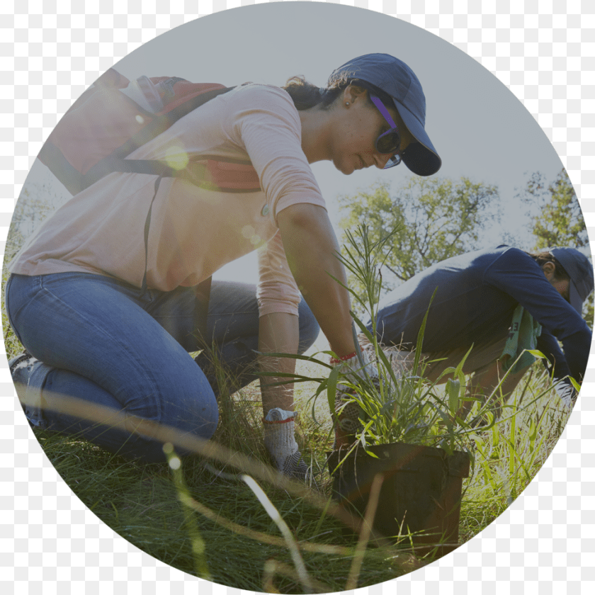 969x969 Involve Volunteer Grass, Person, Hat, Outdoors, Gardening Sticker PNG