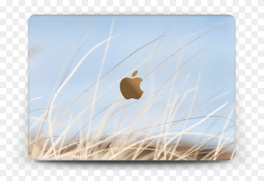785x520 Ipad 2 Apple Ipad, Трава, Растение, Растительность Hd Png Скачать