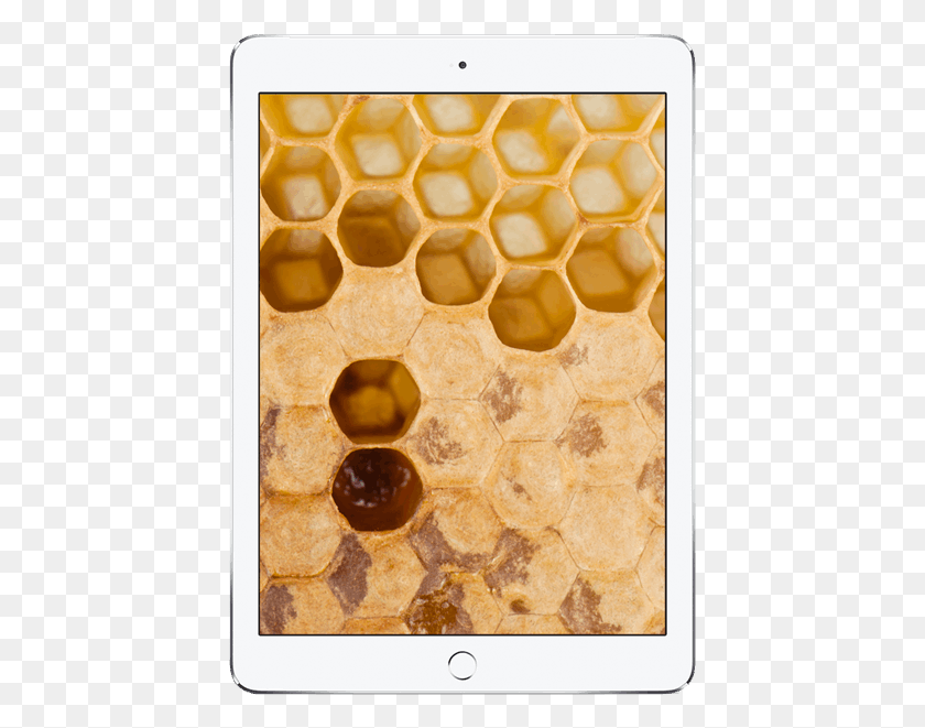 425x601 Ipad Honeycomb, Мед, Еда, Коврик Hd Png Скачать